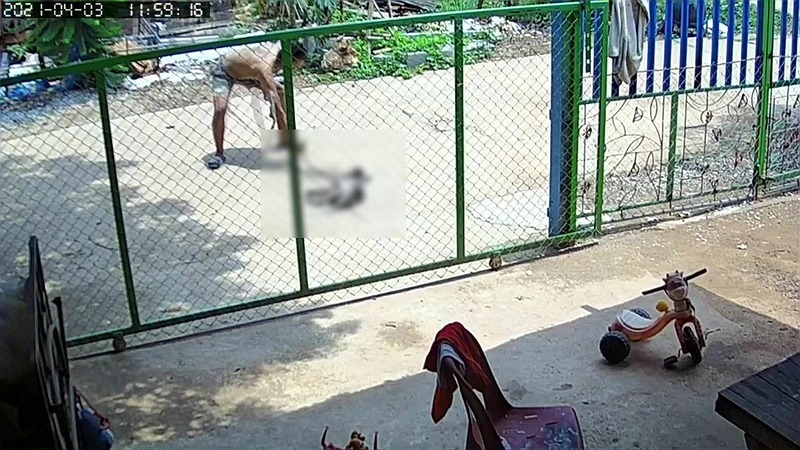 動画あり ただし閲覧注意 タイの日常に潜む狂気 突然飼い主の犬が目の前で殺される タイニュース クロスボンバー X Bomber Thailand