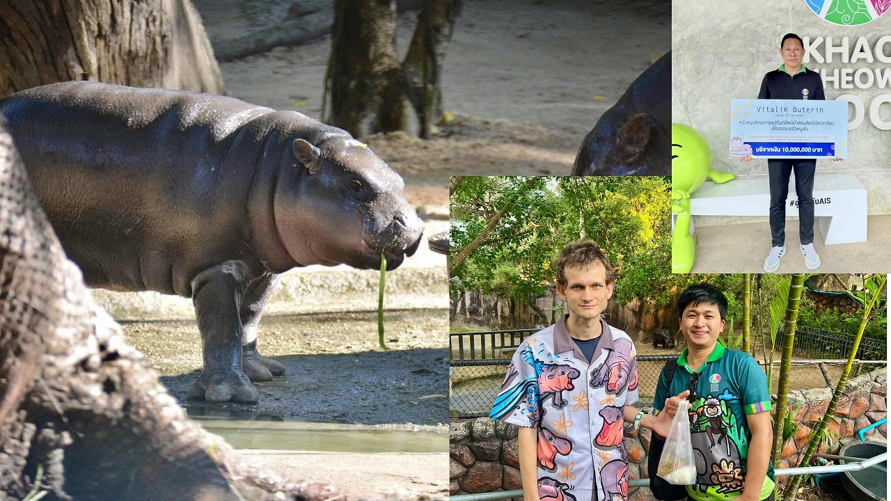 イーサリアムの共同創設者ヴィタリック氏、ムーデンの新居建設に1,000万バーツ寄付。 | タイニュース・クロスボンバー（X-bomber  Thailand）